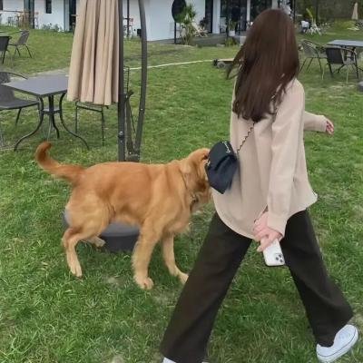 神勇双妹唛国语
